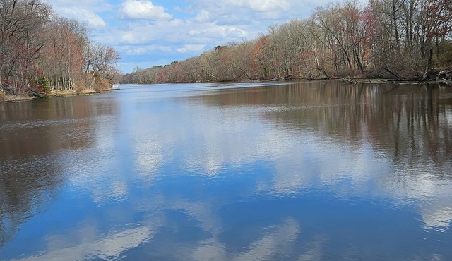 7 Person Sleeper- 4Bd 2Ba King Bed Lake Getaway