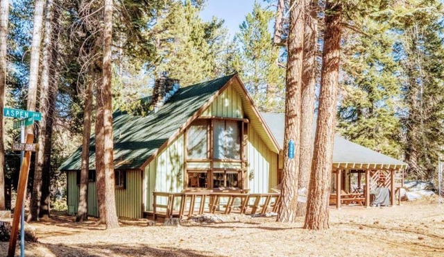 7200ft Elvtn,Sequoia Trl 100 Giant,LRG Family,Pets