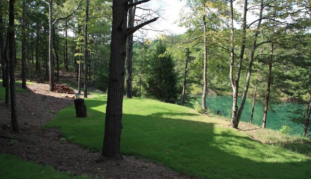 #724: Trout Hill Condo at Fall Creek Falls