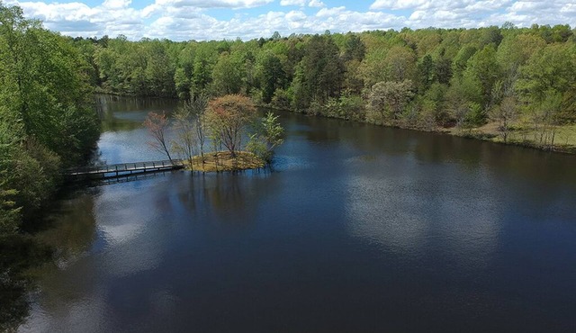 8 Acre Private Lake w/Island, & 4 Unique Rentals!