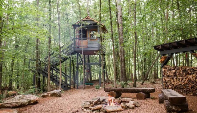 8 Acres of Private Camping on 20 Acre Lot