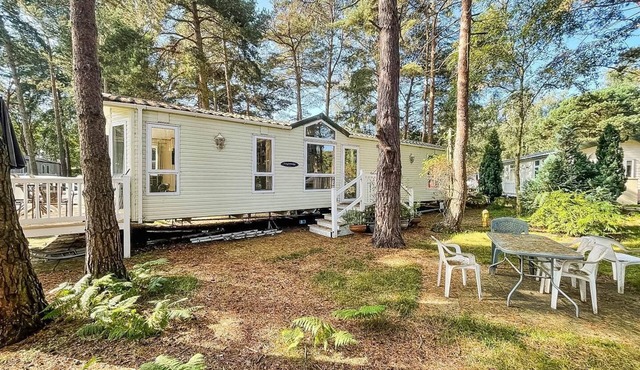 8 berth caravan for hire at Wild Duck Holiday Park in Norfolk ref 11269MC