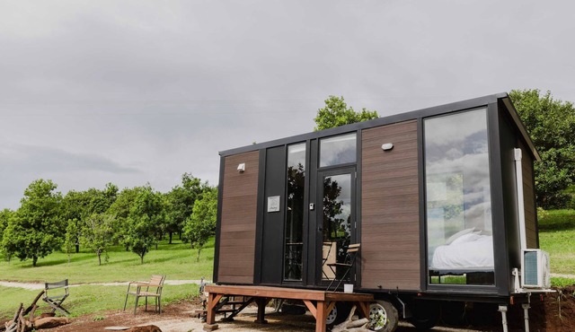 8 Farm Macadamia Plantation 1 by Tiny Away