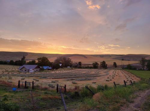 8 Mile Farm Bed & Breakfast