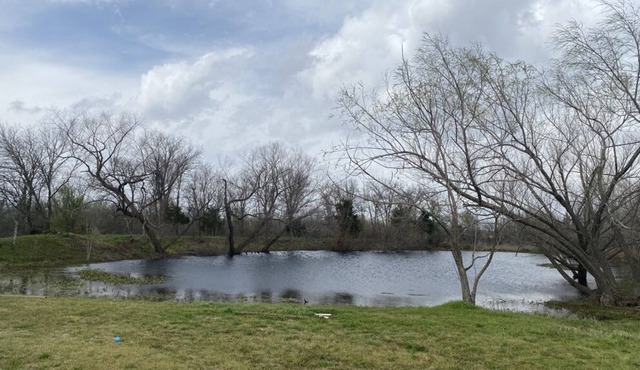 8 Minutes from COTA - 6 acre lot