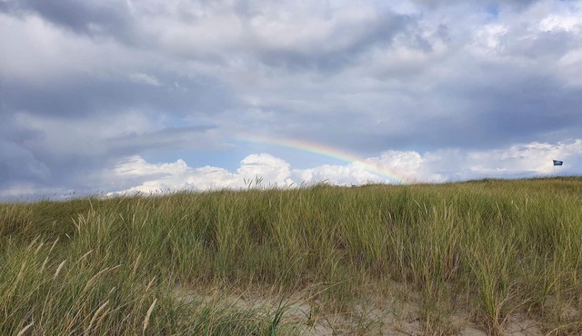 8 person holiday home in Blåvand-By Traum