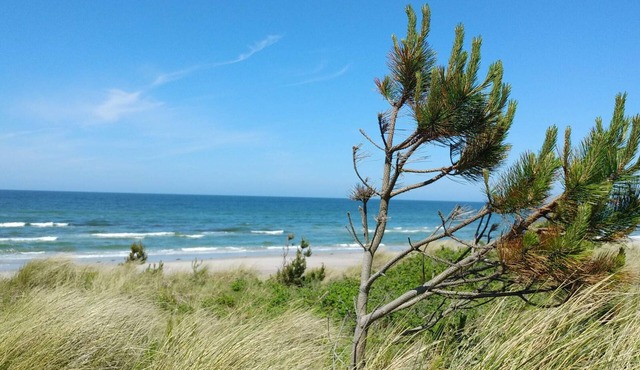 8 Person Holiday Home in Rorvig-by Traum