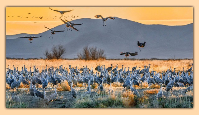 817WK 3 National Parks/3 Ghost Town/16 Wineries/25-Acre Birding Ranch Fun ~WIFI~