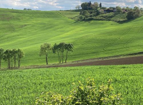 85 m2 de plain-pied, 2chambres, 3 lits dans maison confortable avec vue sur la vallée et les Pyrénées ariégeoises, grande terrasse avec barbecue et parking gratuit