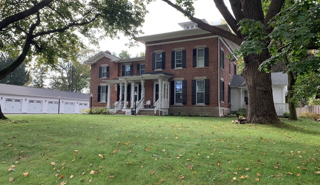 #9 Beautiful studio, full kitchen near 590/490