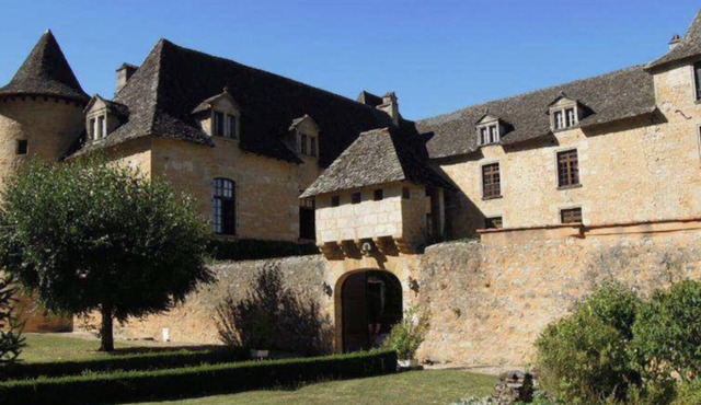 9 bedroom castle in saint-mã©dard-de-presque