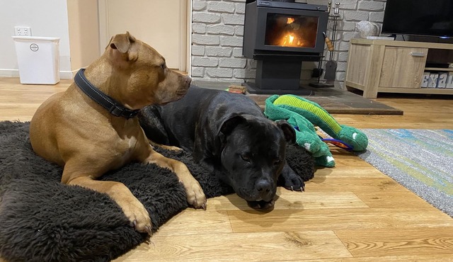 90 Mile Beach House & Villas