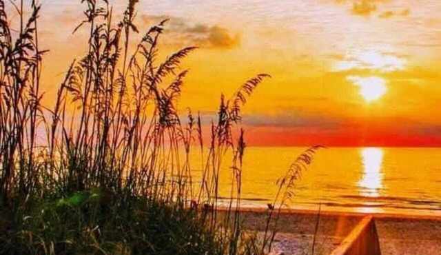 900. B Seaside 2 Br Cottage with Bay Views, Veranda, High Ceilings, Hot Tub, Private Beach, Beachfront Grilling, & Kayaks