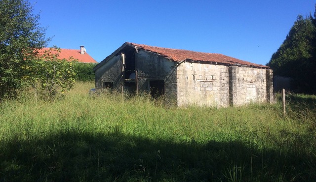 90m2 holiday home in the middle of kiwi fields and corn