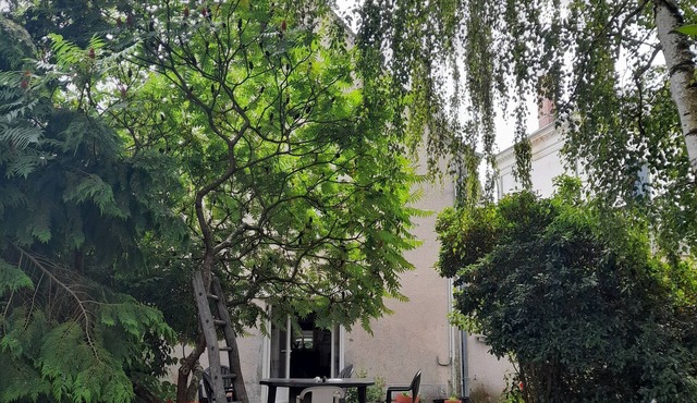 A 15mn du Zoo de Beauval, Maison Avec Jardin Idéale Pour les Familles