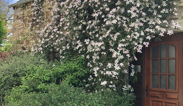 A 2 bedroom cottage that sleeps 4 guests in 2 bedrooms with covered pool