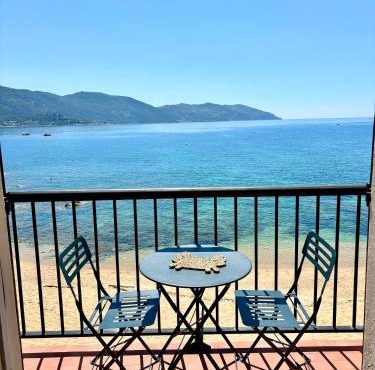 A 20min d AJACCIO, Grand studio 3 personnes - pieds dans l'eau - accès direct plage - vue mer exceptionnelle