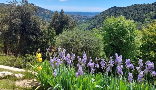 A 36 sq. m self contained apartment with a magnificent view to the Mediterranean