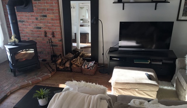 A Beach Style Chalet In The Heart Of Ottawa