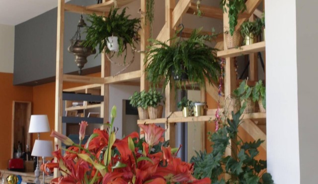 A beautiful apartment in the center and on the roofs of Montpellier