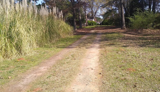 A Beautiful Secluded home away from home!