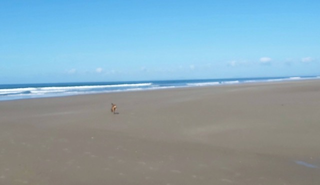 A beautiful well appointed accomodation with all you need for a lovely break