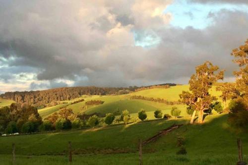 A Bed & A Red @ Berry’s Creek