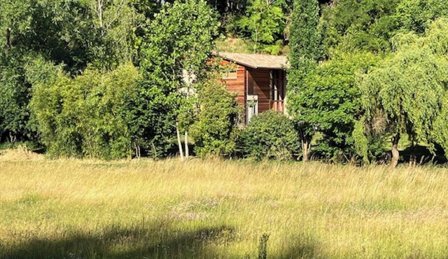 A bed and breakfast in the woods