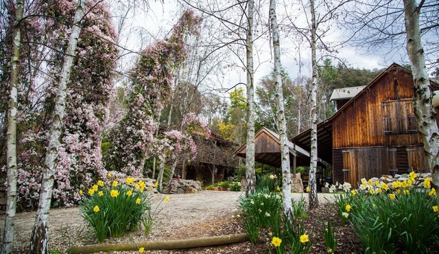 A bespoke romantic retreat in the heart of the high country, breakfast included.