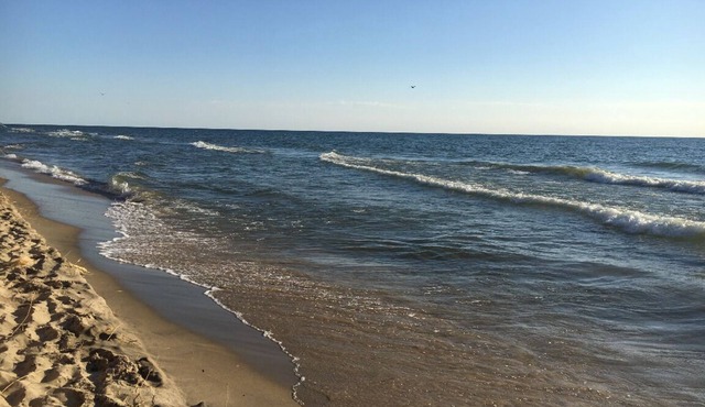 A block from the beach! A beautiful wooded spot a 5 minute walk from Lake MI.