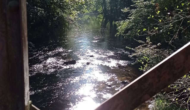 A break in Chantelle