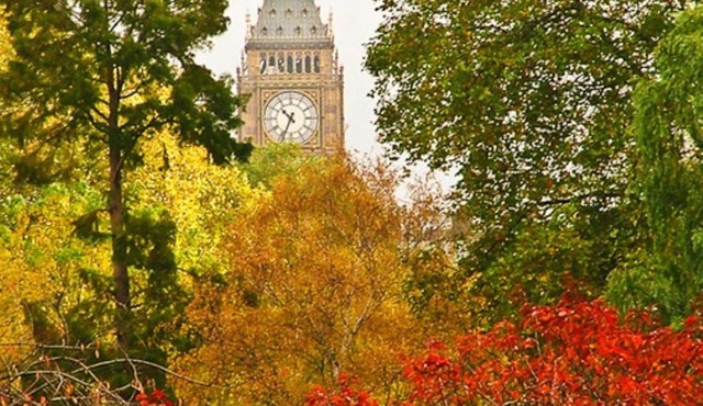 ❄️ A/C. Lift 🛗 EarlyDrop ⏰ FlexPolicy 🔄 King 👑 Full Kitchen 👨‍🍳 W/D 🧺