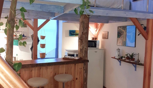 A cabin atmosphere for this charming mezzanine studio