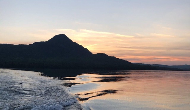 A cabin in the woods like no other!