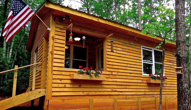 A Cabin In The Woods