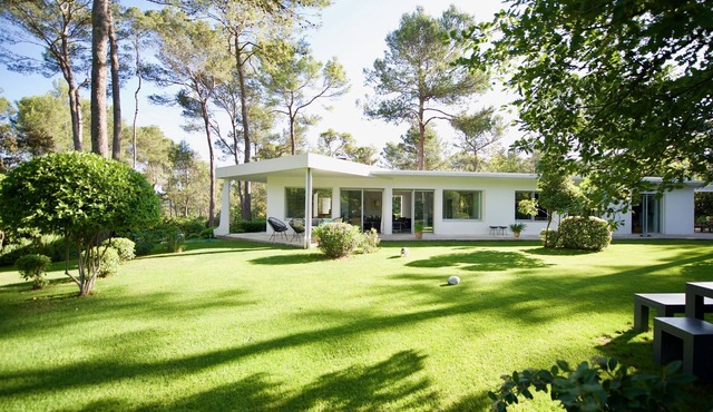 A CALIFORNIAN IN A PARK of 6000m2