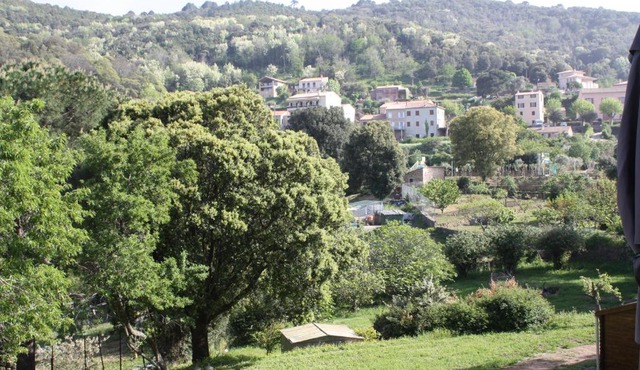 A CARDICCIA Loc saisonnières PIANA
