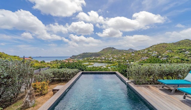 A Caribbean Gem With Stunning Hill and Ocean View