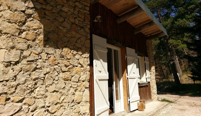 A Chalet in Ventoux, in the middle of the trees in the Mont Serein Resort
