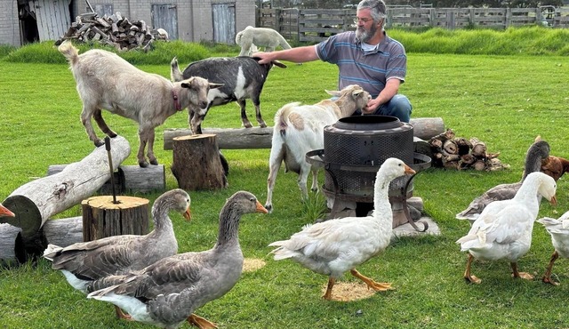 A chance to get away from it all, farm life!