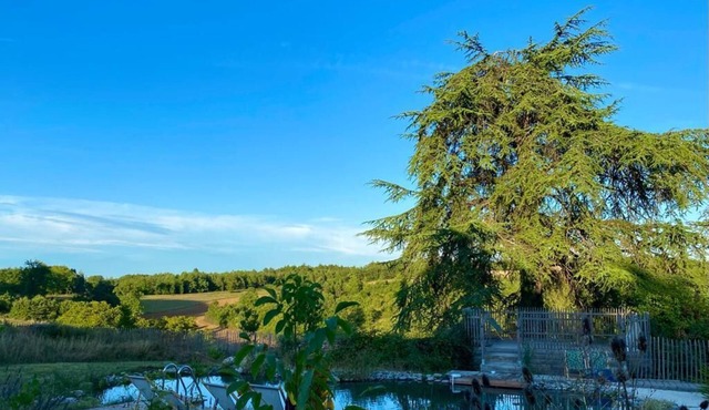 A charming and peaceful old barn surrounded with nature