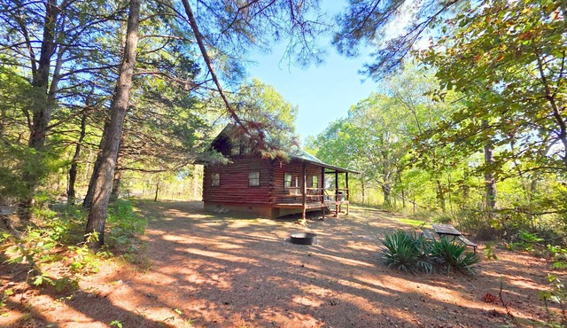 A charming family cabin nestled in the heart of Saint Joe.