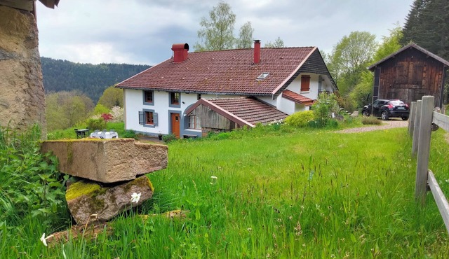 A charming old farmhouse, the Ferme du Grand-Père Prosper awaits you in LIEZEY