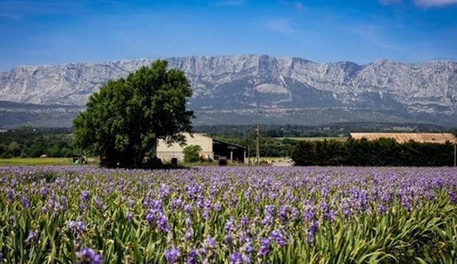 A CHARMING, RELAXING & EXOTIC SETTING MINUTES FROM TRETS