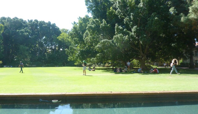 A Classical Relaxation Resort for a family of 4 -6 in Christmas and/or New year