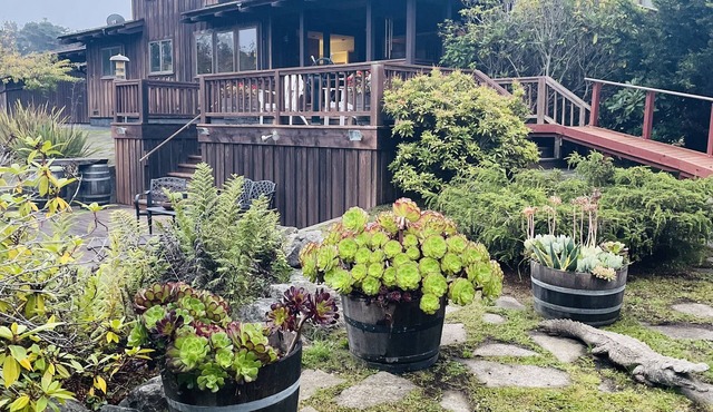 A coastal lodge for all seasons!