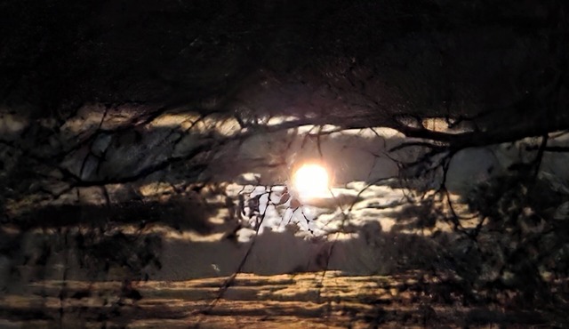 A completely off grid accommodation for up to 4 adults for $260 per night