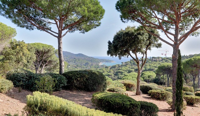 A corner of paradise on the Saint Tropez peninsula, absolute peace and quiet