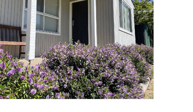 A cosy and quiet retreat, walking distance to town and Eildon pondage.