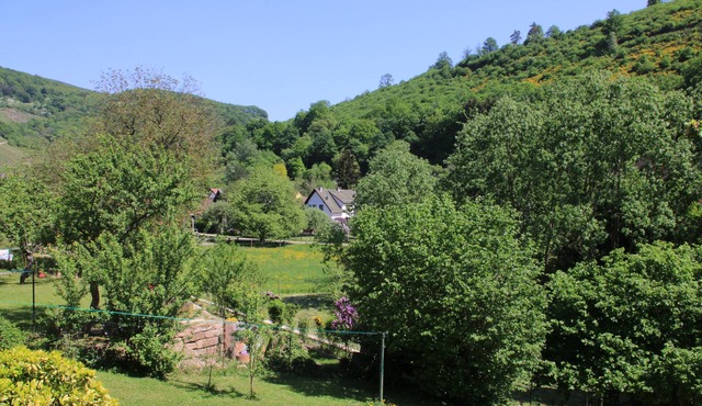 A cosy family stay at Gîte Les Glycines, in the heart of Alsace